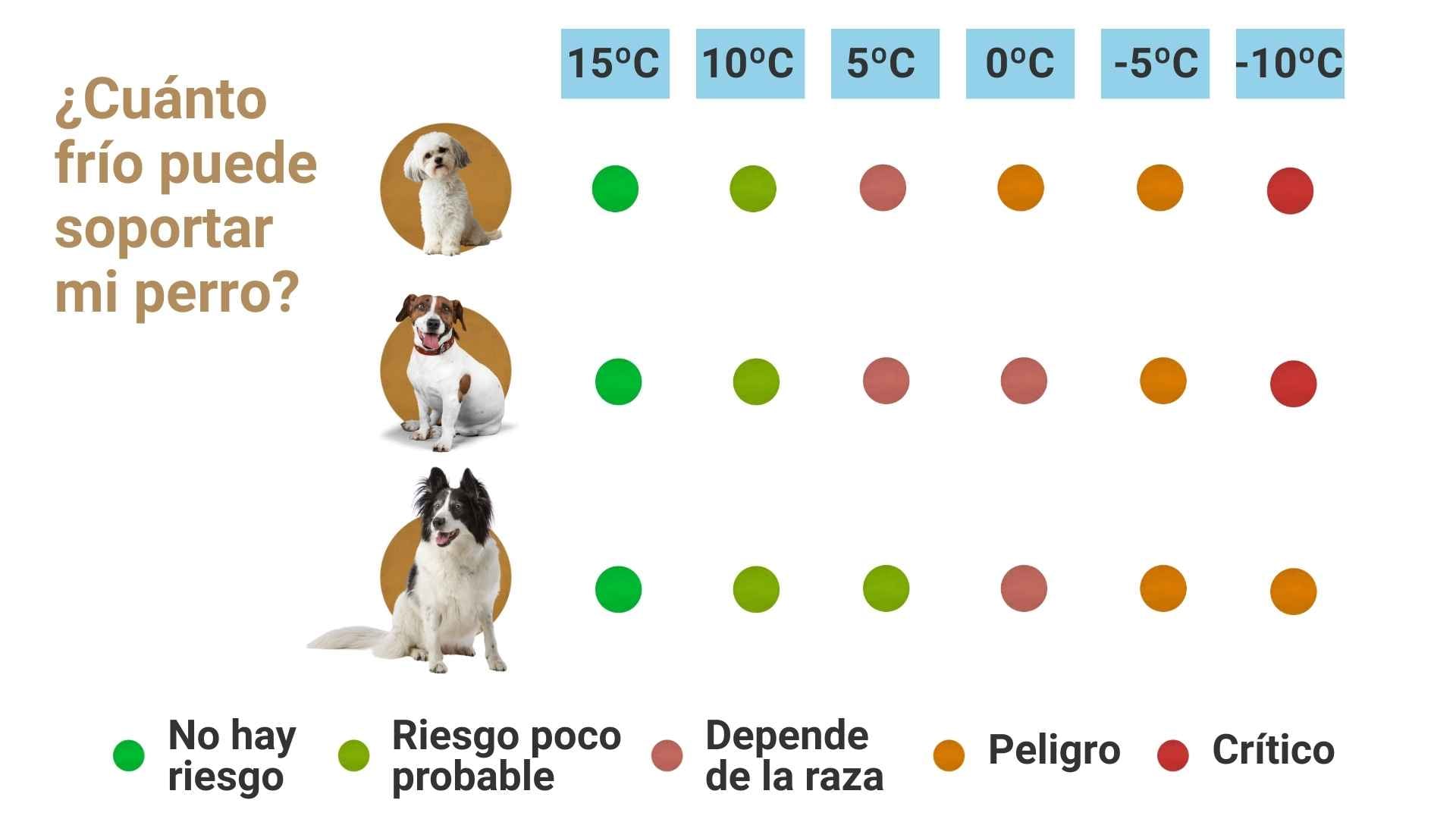 El frio que soportan los perros